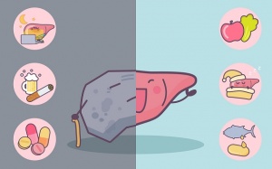 Làm thế nào để thanh lọc cơ thể, thải độc gan sau Tết