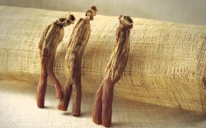 Hồng sâm đắt khách mùa Valentine