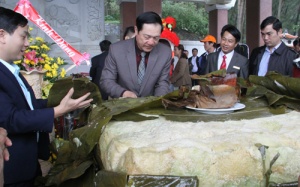 Nghệ An dâng cặp bánh chưng 7 tạ lên mộ bà Hoàng Thị Loan