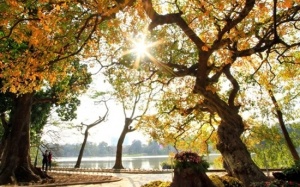 Giữa tuần Bắc Bộ chuyển rét