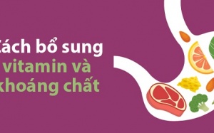 Bạn đã biết cách bổ sung các vitamin và khoáng chất cho cơ thể?