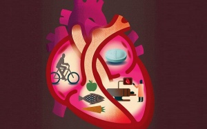 Thay đổi lối sống sẽ giúp bạn phòng ngừa suy tim