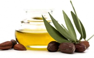 Đối phó với các vấn đề về tóc chỉ với tinh dầu jojoba