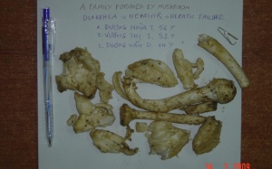 4 sai lầm chết người khiến nhận diện nhầm nấm độc