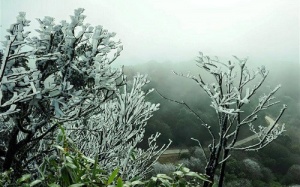 Đêm nay, miền Bắc có thể xuất hiện băng giá 