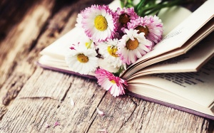 Tử vi 12 cung hoàng đạo Chủ nhật (12/2/2017)