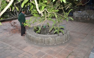 Sự thật về giếng nước hơn 700 tuổi 'chữa bách bệnh' ở Côn Sơn