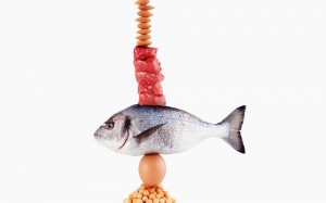 5 hiểu lầm tai hại về protein