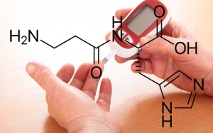 Carnosine vừa chống lão hóa, vừa ngăn đái tháo đường type 2