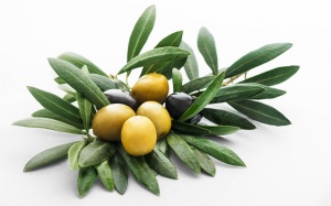 Bổ sung những thực phẩm này để ngừa cúm gia cầm