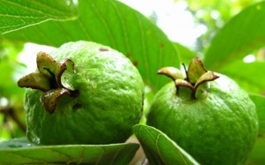 Không cần đến nha sĩ vẫn có thể tự làm trắng răng