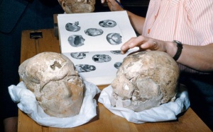 Lần đầu tiên tiết lộ khuôn mặt của người đàn ông 9.500 tuổi