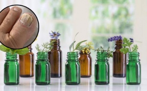 Mẹo chữa nấm móng chân chỉ bằng 4 loại tinh dầu