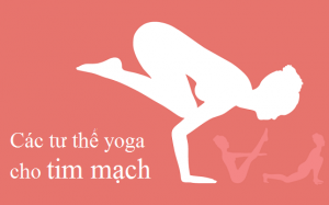Các tư thế yoga tốt nhất giúp cải thiện sức khỏe tim mạch