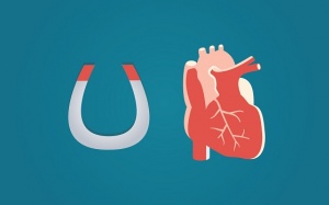 Infographic: Thiết bị hỗ trợ thất trái cho người bệnh suy tim