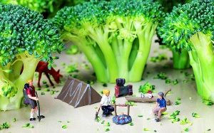 Chăm sóc da và móng sành điệu với dầu hạt bông cải xanh