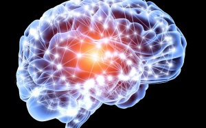 Bộ não “giết chết” bạn như thế nào?