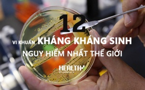 Vì sao WHO phải công bố gấp danh sách 12 siêu vi khuẩn nguy hiểm nhất?