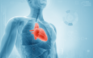 Suy tim khó điều trị do lối sống ít vận động, thừa cân, béo phì