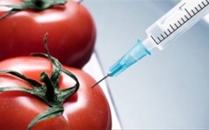 Những chất độc bạn có thể vô tình đưa vào cơ thể hàng ngày