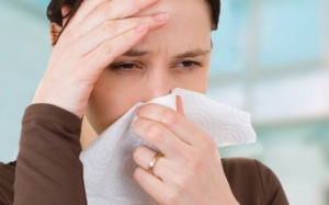 Triệu chứng viêm mũi dị ứng có thể được cải thiện nhờ probiotics  