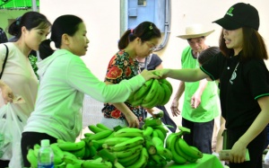 Kháng tinh bột chuối - Thực phẩm chức năng mới?