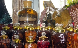 Rượu ngâm 'đặc sản': Biết độc vẫn liều