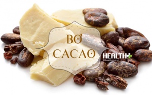 5 cách sử dụng bơ cacao để chăm sóc da hiệu quả