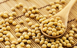 Đọc để biết có nên tin đậu nành gây ung thư vú hay không?