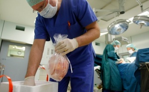 Đột phá trong bảo quản nội tạng chờ cấy ghép