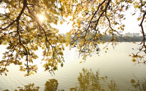 Thời tiết 10 ngày giữa tháng 3 như thế nào?