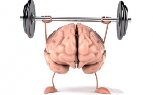 10 loại gia vị và thảo mộc tốt cho não