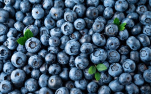 Quả việt quất giúp cải thiện sức khỏe não bộ cho người cao tuổi