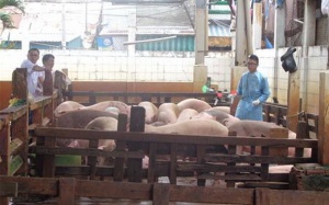 Khi có kết quả xét nghiệm, thức ăn độc hại đã vào bụng