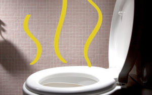 6 nguyên nhân khiến nước tiểu của bạn có mùi kì lạ