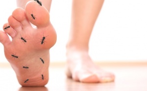 5 lý do khiến bạn có cảm giác ngứa ran ở bàn tay và bàn chân