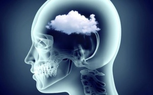 Vitamin E và selen ngăn ngừa mất trí nhớ: Đúng hay sai?