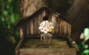 Làm sao để phân biệt các tầng hương nước hoa như dân sành điệu?