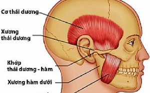 Mỏi hàm, đau tai buổi sáng coi chừng bị rối loạn thái dương hàm