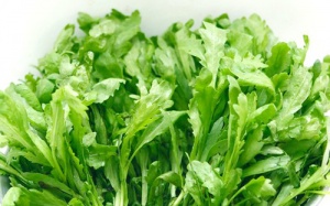 Đây là lý do vì sao cải cúc được gọi là 'Rau Hoàng đế'