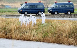 Bé gái xấu số người Việt có thể bị theo dõi từ 2 tháng trước