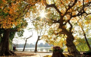 Bắc Bộ tiếp tục ấm áp trước khi đón rét nàng Bân