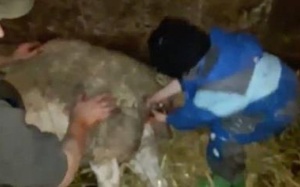 Hãy nhìn xem: Con nhà người 2 tuổi đã biết làm bao nhiêu việc!