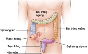 Phương pháp kéo dài sự sống cho người bị ung thư di căn