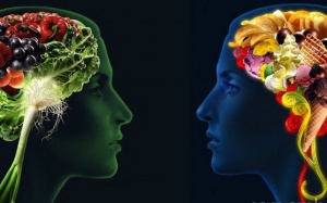 9 'nhiên liệu' giúp não nhanh nhạy và tập trung