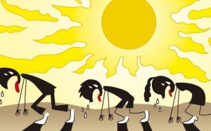 6 cách đơn giản để luôn khỏe mạnh trong mùa hè