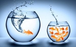 7 thách thức mang lại thành công