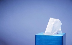 Tại sao cô đơn lại khiến cảm lạnh nặng thêm