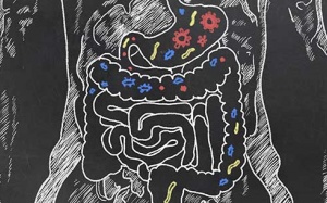 Làm rõ mối liên hệ giữa bệnh Parkinson và hệ vi khuẩn đường ruột