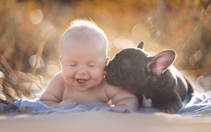 Muốn trẻ ít dị ứng và béo phì: Hãy nuôi thú cưng?